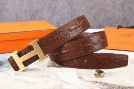 Picture of Hermes Belts _SKUHermesBelt38mmX95-125cm7D705164